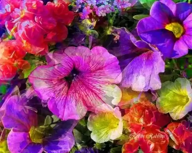 summer