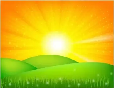 Summer landscape
