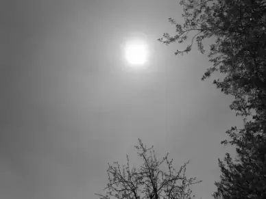 sun black and white recording rays