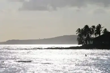 sun glistening on ocean coast