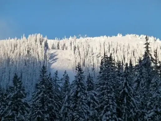 sun peaks ski hill resort