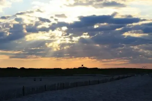 sun rays