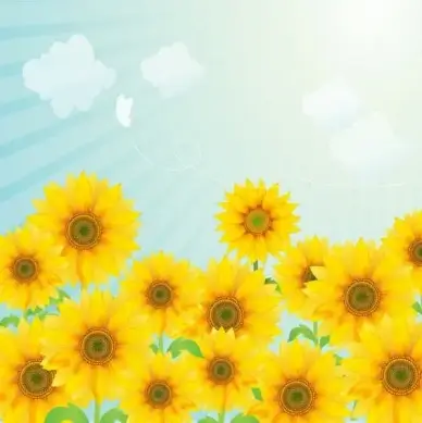 Sunflowers