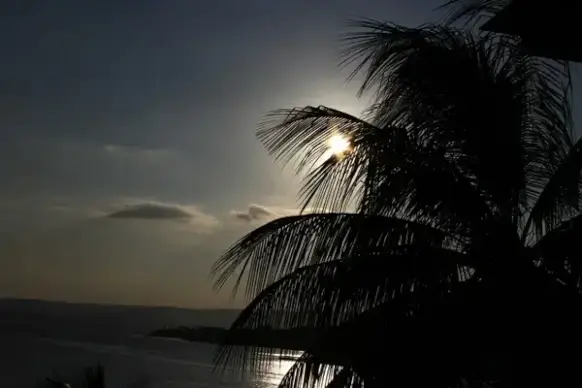 sunlight 2