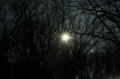 sunlight through trees at glacial lakes state park minnesota