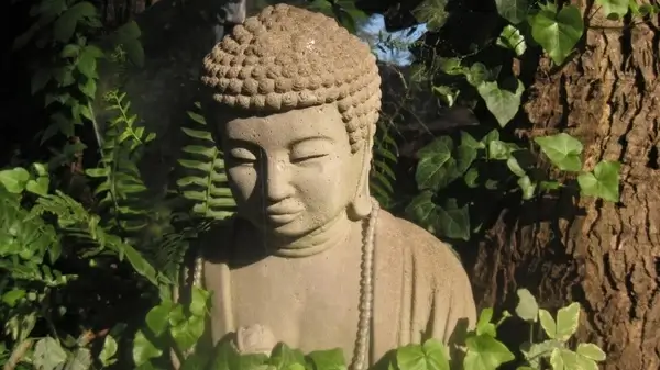 sunlit buddha