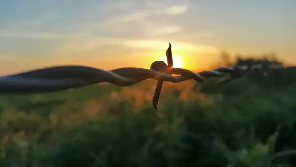 sunrise in june