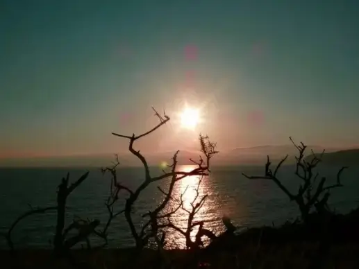 sunset