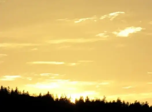 sunset