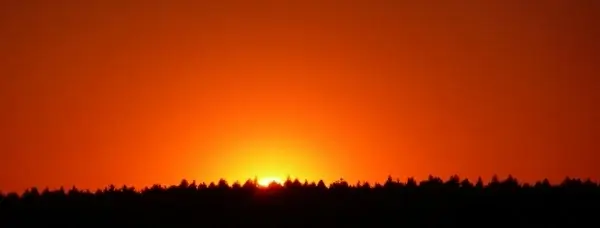 sunset behind the trees