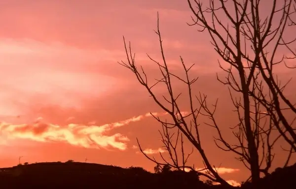 sunset in the native flow