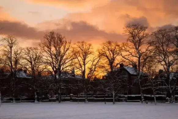 sunset in winter