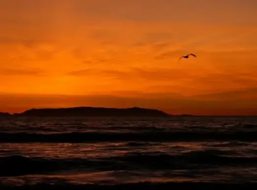sunset over catalina island
