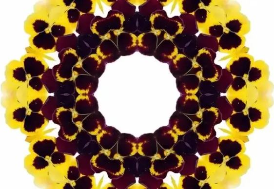 surreal pansy background