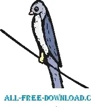 Swallow
