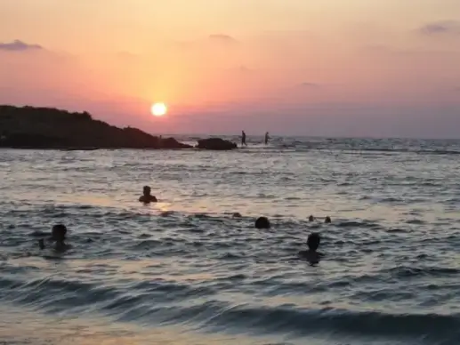 swimming in sunset