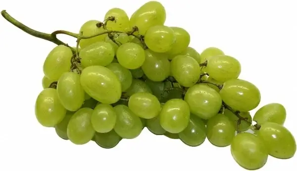 table grapes grapes fruit
