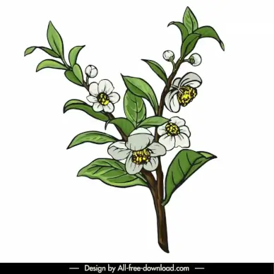 tea design elements handdrawn classical natural leaves flowers outline 