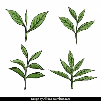 tea leaves icons flat classical handdrawn outline 