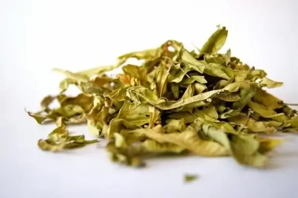tee herb spice