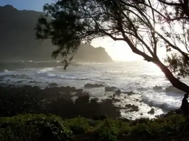 tenerife loneliness sea