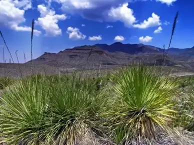 texas landscape scenic