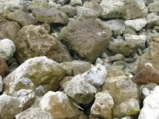 texture rocky shore