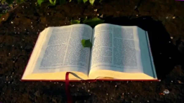 the bible the holy book christianity