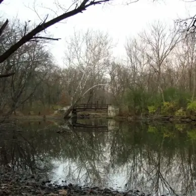 the bridge over the creek