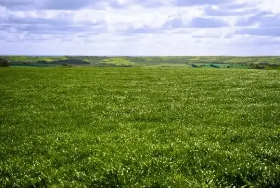 the english landscape