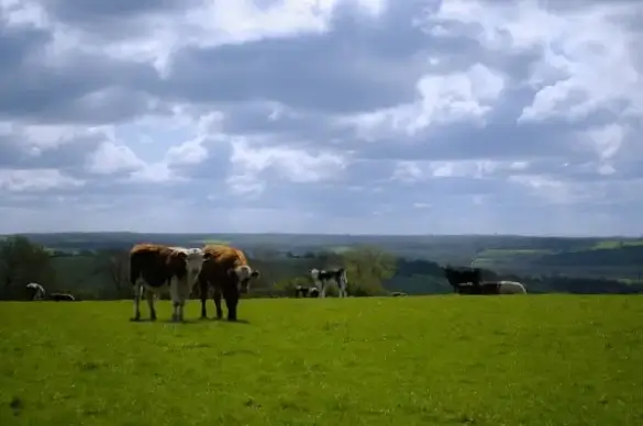 the english landscape