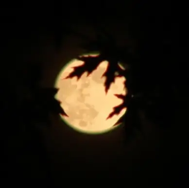 the full moon