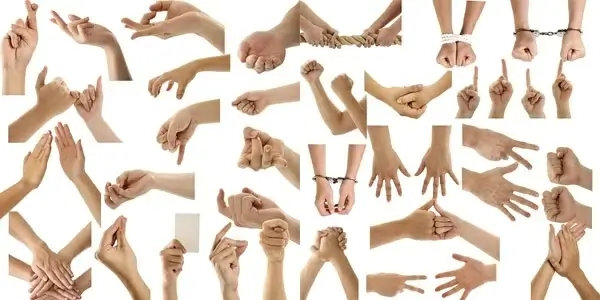 the gestures large collection psd
