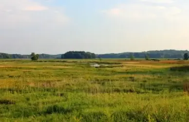 the prairie landscape at chain o lakes state park illinois