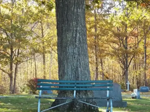 the resting place