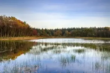 the stephen king lake