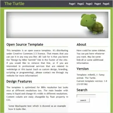 The Turtle Template