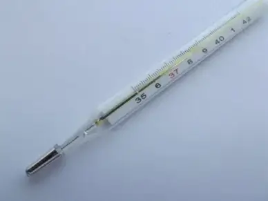 thermometer temperature instrument