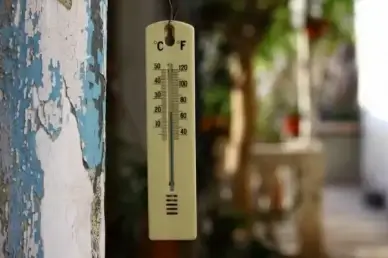 thermometer temperature instrument
