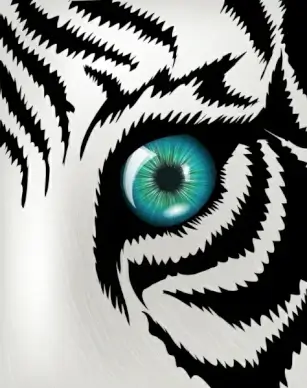 tiger drawing facial closeup black white stripes sketch