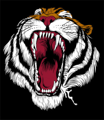 tiger vector cdr file