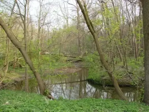 to the lefttrees and creek
