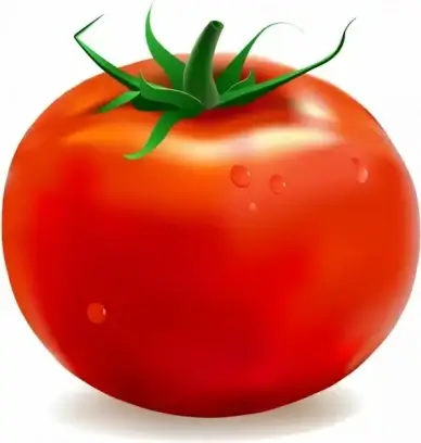 Tomato