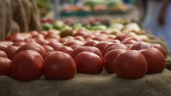 tomatoes