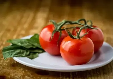tomatoes and basil