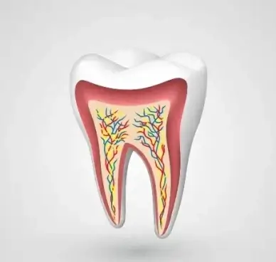 tooth creative design vector