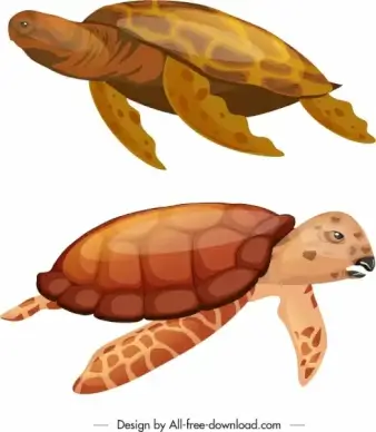 tortoise species icons shiny red sketch swimming gesture