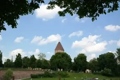 tower ulm goose tower