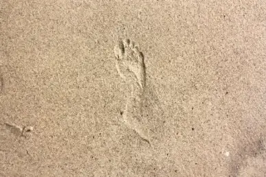 track footprint sand
