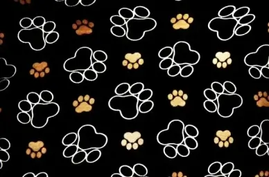 tracks dog background